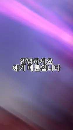 오픈 콜라보 열어요~