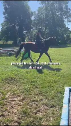 les chevaux 