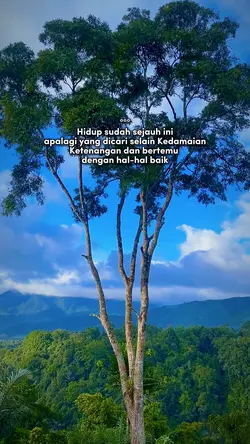 kedamaian