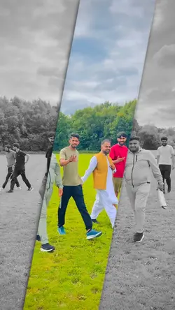 Cricket Match