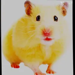 ひま