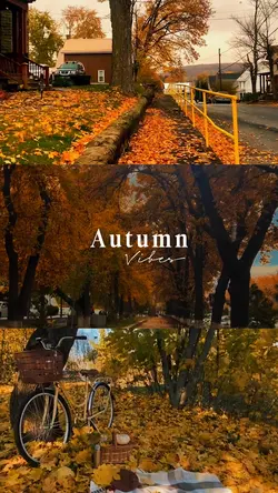 Autumn Vibes