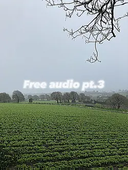 Free audio pt.3 