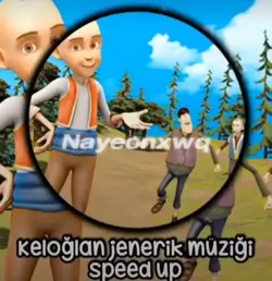 Silin alınm