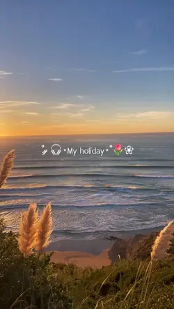 Holiday 🌷