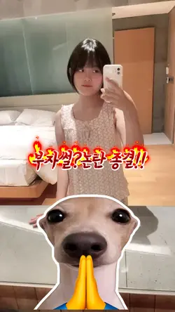 부지썰?해명