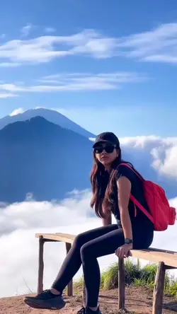 Traveler