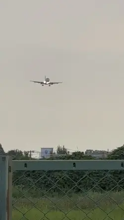 飛行機