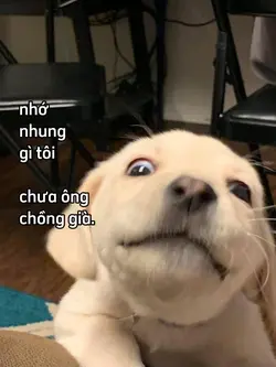 1 anh  + cap