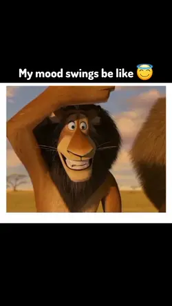 Funny cartoon meme 