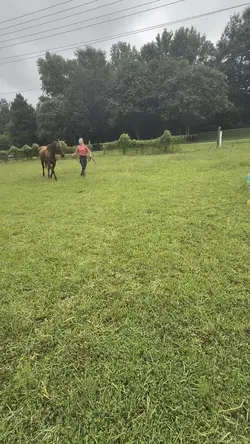 New jump course