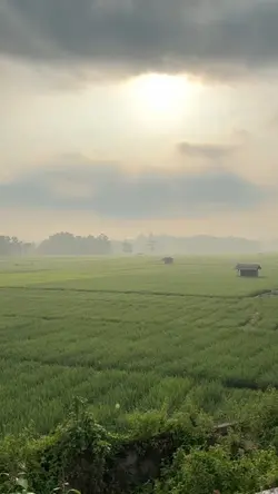 suasana pagi