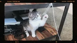 Kodak film vlog