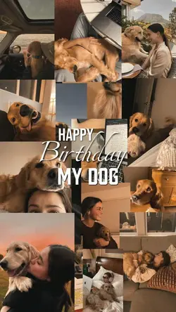 Birthday My Dog