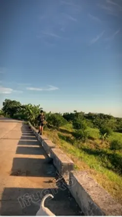 Palakas
