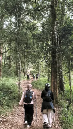 Vibes Gunung
