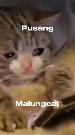 Maloncat