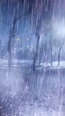 Rain