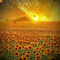 nature