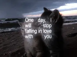 let u break my heart