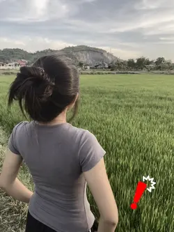 Sad Song 🎵 