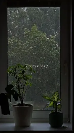 rain