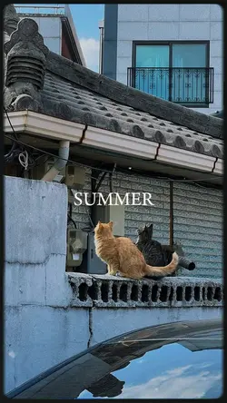 summer