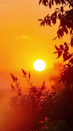 Selamat Pagi