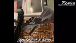 Dragon Duet 