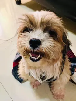 Fur baby 