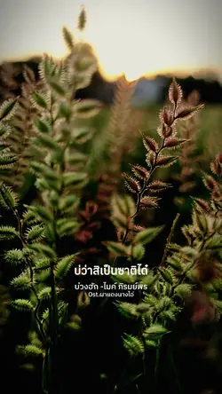 ยังถ่าอยู่เด้อ 