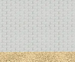 snep chase