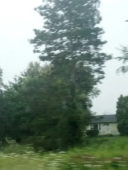 >:D