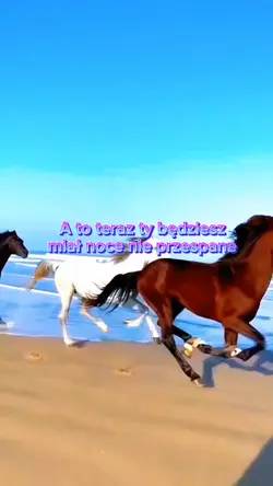 nasze lat
