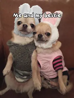 Me and my bestie fr