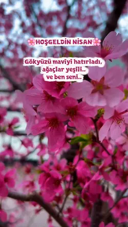 bahar şablonu
