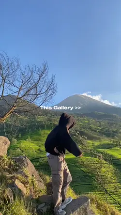 This Gallery