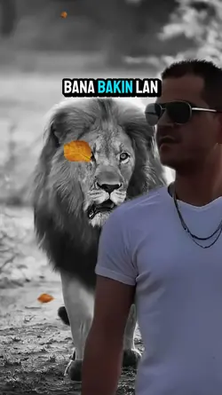 video overlay 