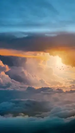 ARIZONA SKY
