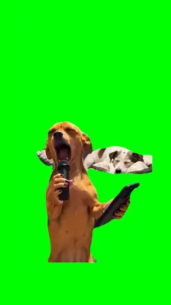 DOG SINGING MEMES