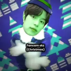 Skz fancam