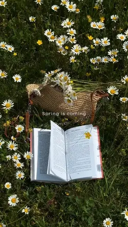 spring is coming 