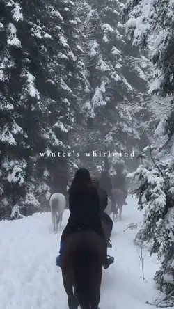winter's whirlwind