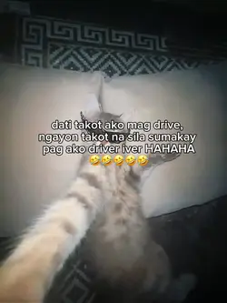 Takot na sila 
