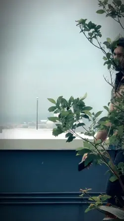 Slowmo india 1videos