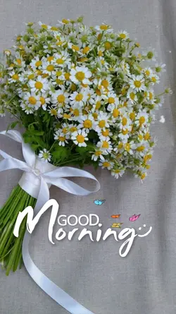 Good morning 