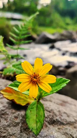 FILTER HD 4K
