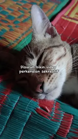video perkenalan