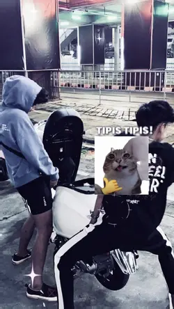 TIPIS TIPIS