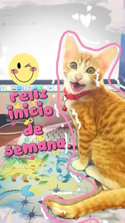 Inicio de Semana